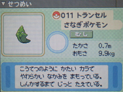 トランセル プラチナ ポケモンずかん
