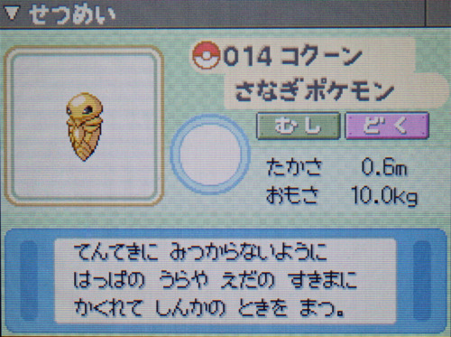 コクーン プラチナ ポケモンずかん