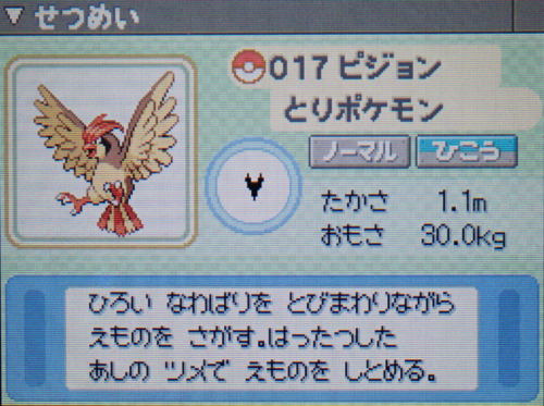 ピジョン プラチナ ポケモンずかん