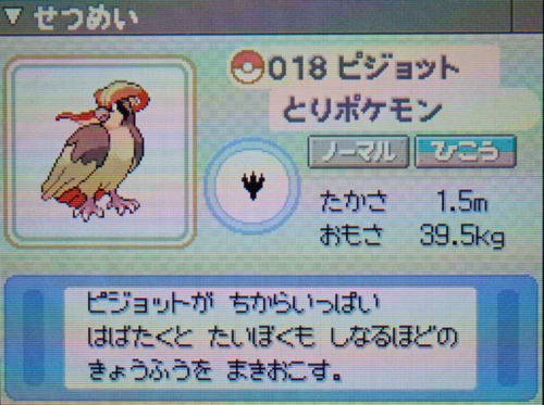 ピジョット プラチナ ポケモンずかん