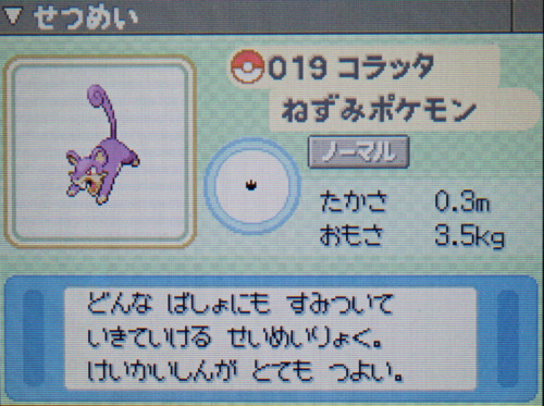 コラッタ プラチナ ポケモンずかん