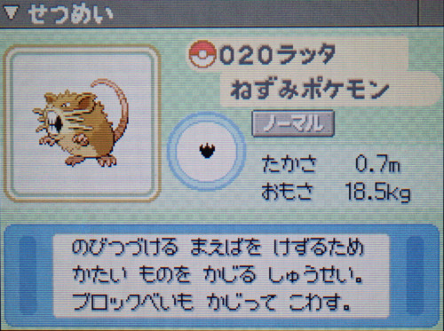 ラッタ プラチナ ポケモンずかん