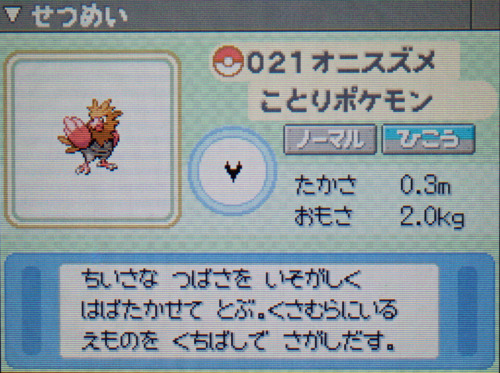 オニスズメ プラチナ ポケモンずかん