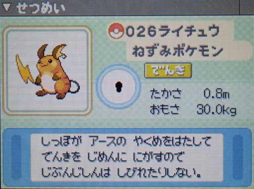 ライチュウ プラチナ ポケモンずかん