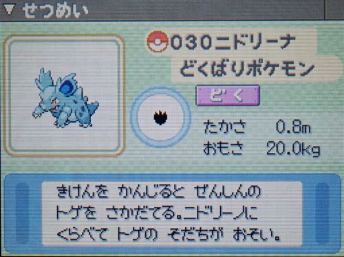 ニドリーナ プラチナ ポケモンずかん