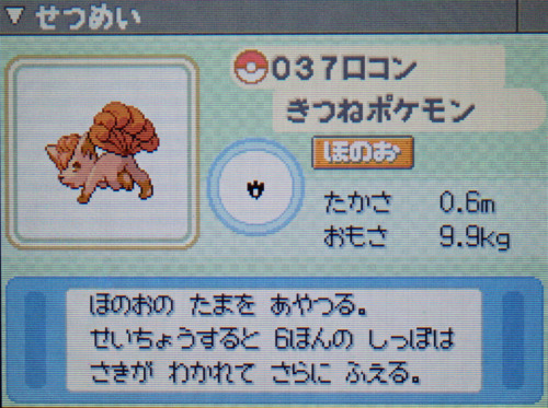 ロコン プラチナ ポケモンずかん