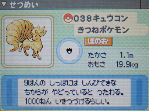 キュウコン プラチナ ポケモンずかん