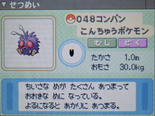 コンパン プラチナ ポケモンずかん