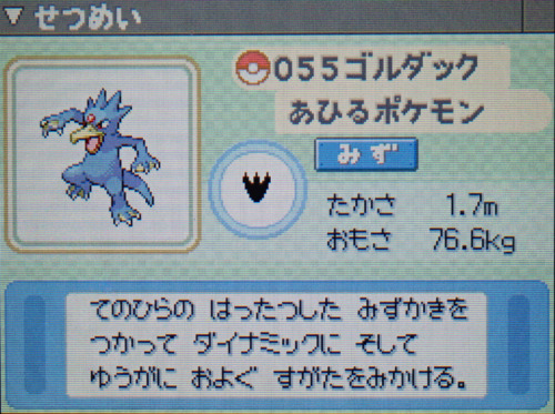 ゴルダック プラチナ ポケモンずかん
