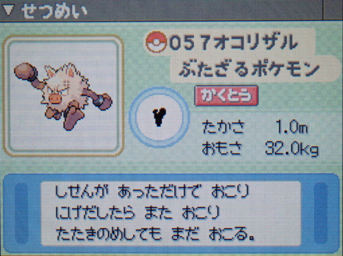 オコリザル プラチナ ポケモンずかん