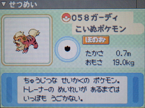 ガーディ プラチナ ポケモンずかん