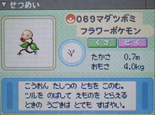 マダツボミ プラチナ ポケモンずかん