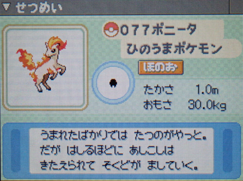 ポニータ プラチナ ポケモンずかん