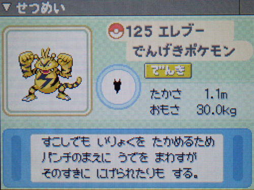エレブー プラチナ ポケモンずかん