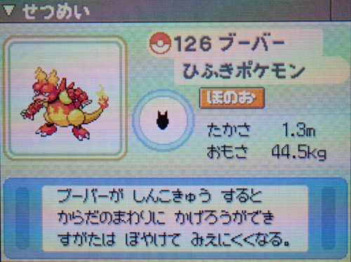 ブーバー プラチナ ポケモンずかん
