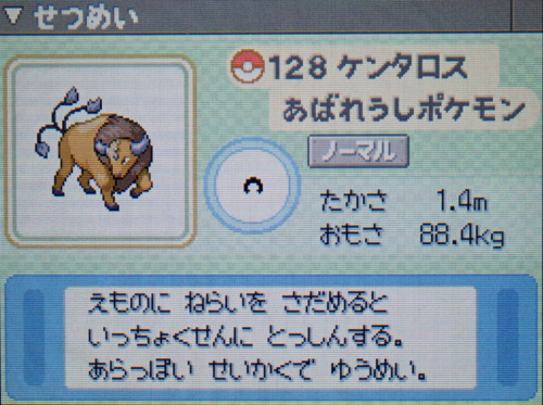 ケンタロス プラチナ ポケモンずかん