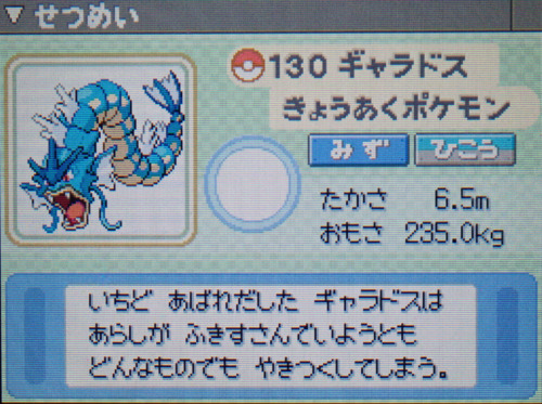 ギャラドス プラチナ ポケモンずかん