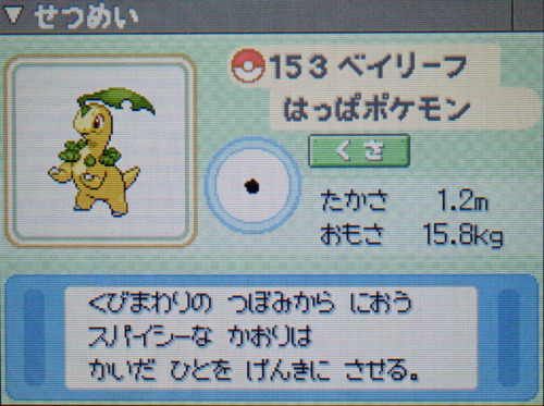 ベイリーフ プラチナ ポケモンずかん
