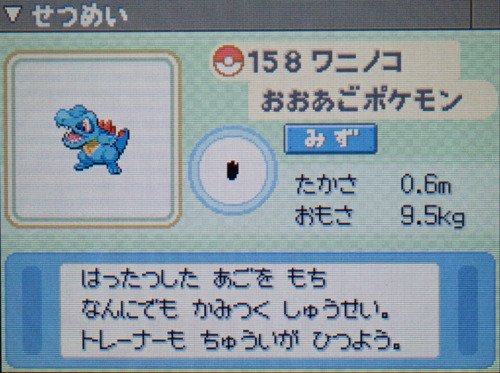 ワニノコ プラチナ ポケモンずかん
