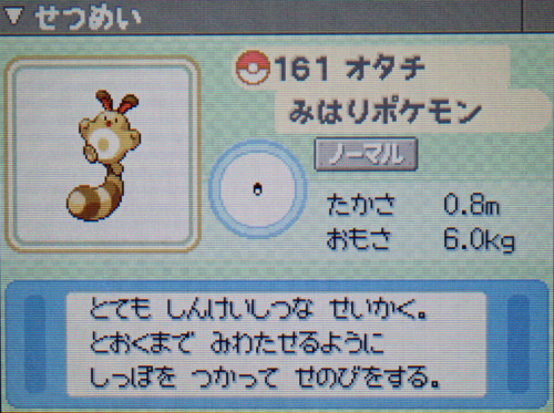 オタチ プラチナ ポケモンずかん