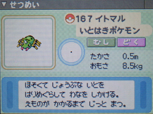 イトマル プラチナ ポケモンずかん