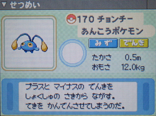 チョンチー プラチナ ポケモンずかん
