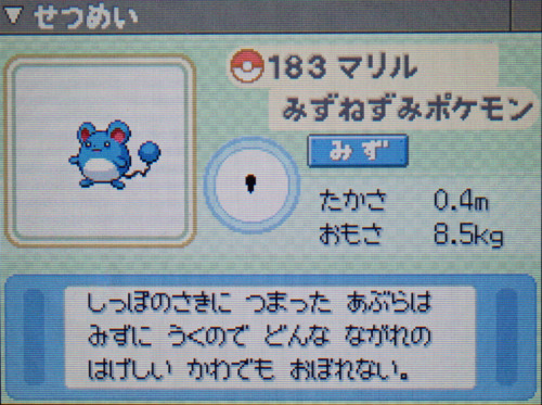 マリル プラチナ ポケモンずかん