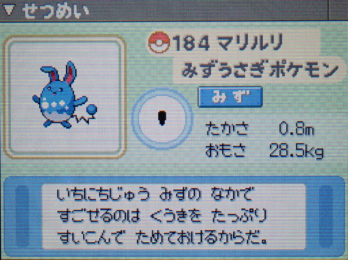 マリルリ プラチナ ポケモンずかん