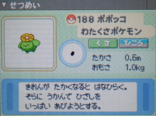 ポポッコ プラチナ ポケモンずかん