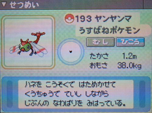 ヤンヤンマ プラチナ ポケモンずかん
