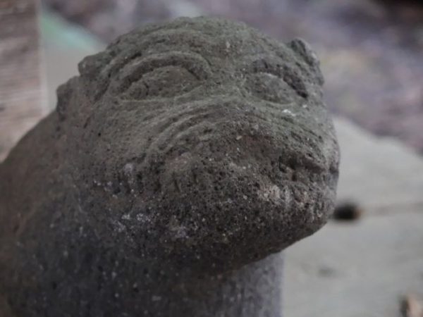 南アルプス市・諏訪神社のはじめ狛犬！