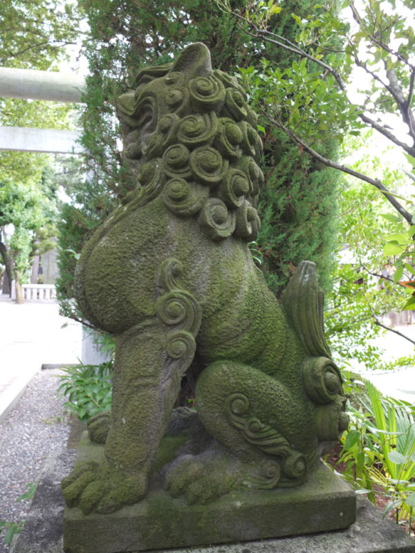 甲府市・金刀比羅神社の護国系狛犬