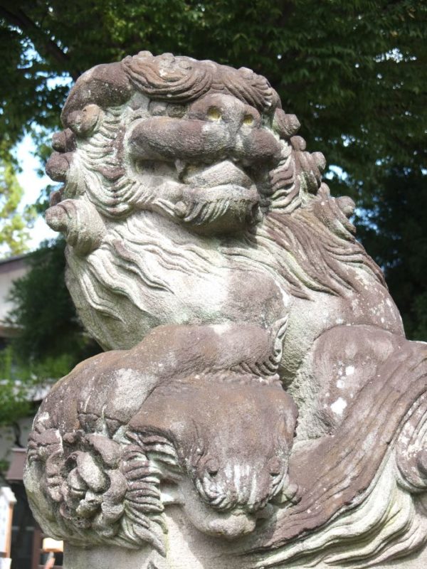 甲府市・稲積神社の江戸風狛犬