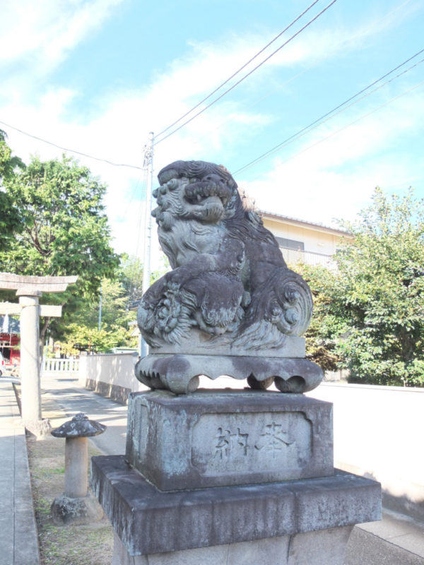 甲府市千塚・八幡神社の狛犬
