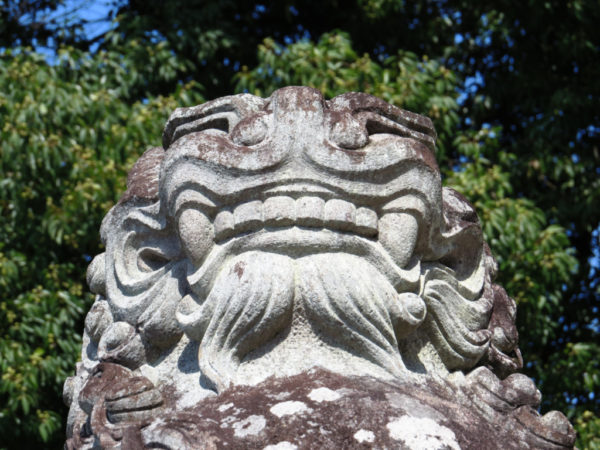 武田神社の護国系狛犬