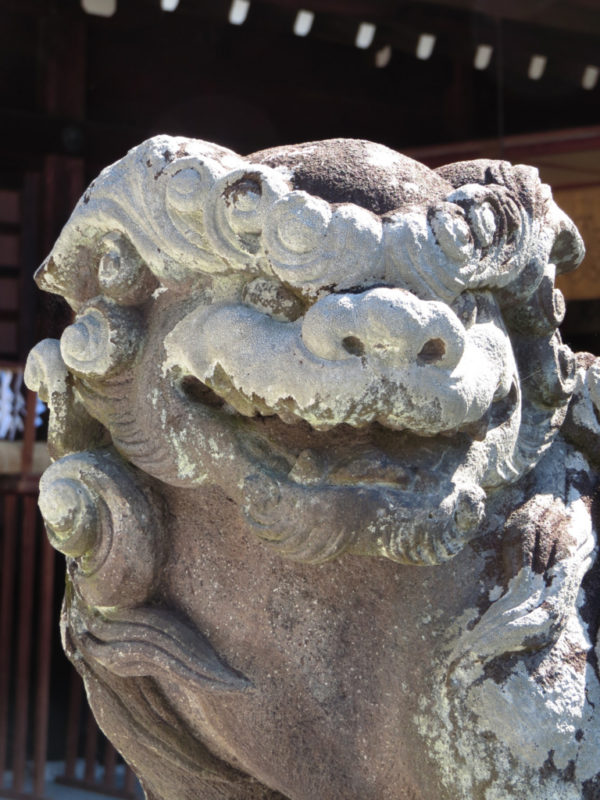 甲府・護国神社の江戸流狛犬