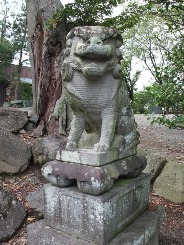 中央市浅利・諏訪神社のボーダー狛犬
