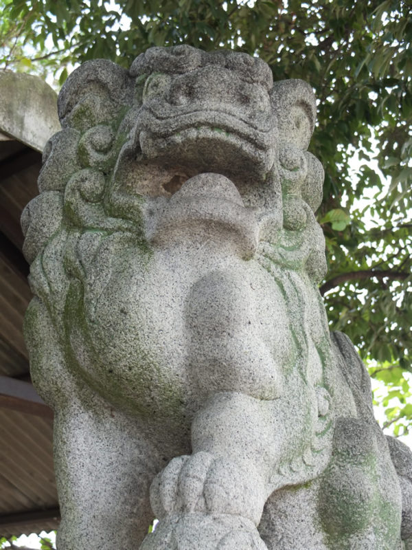 佐久神社の狛犬