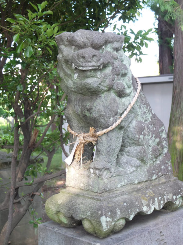 神明神社（甲府市上阿原町）の狛犬