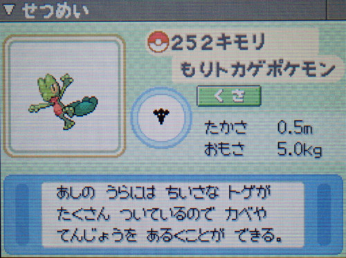 キモリ プラチナ ポケモンずかん