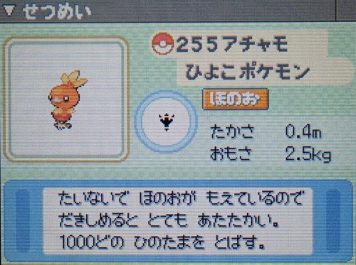 アチャモ プラチナ ポケモンずかん