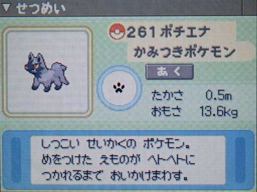 ポチエナ プラチナ ポケモンずかん