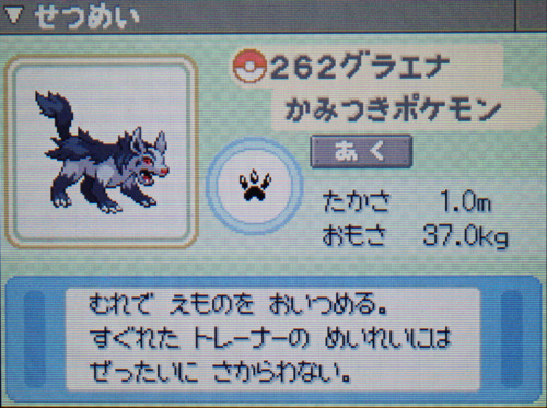 グラエナ プラチナ ポケモンずかん