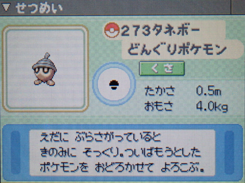タネボー プラチナ ポケモンずかん