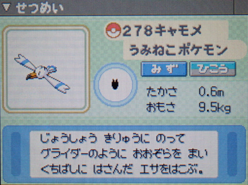キャモメ プラチナ ポケモンずかん