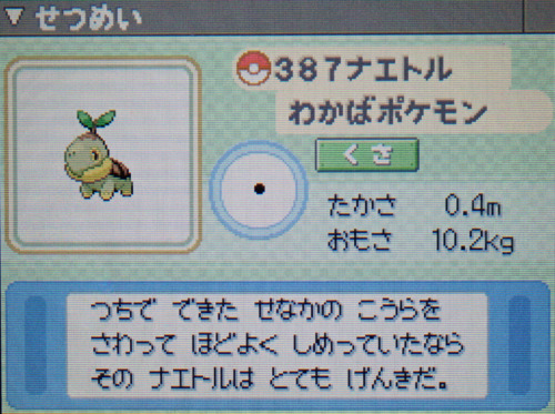 ナエトル プラチナ ポケモンずかん