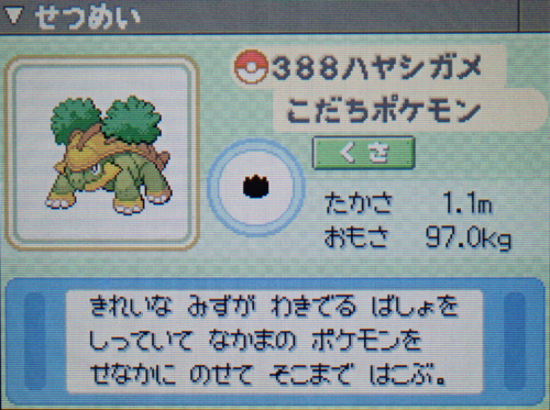 ハヤシガメ プラチナ ポケモンずかん
