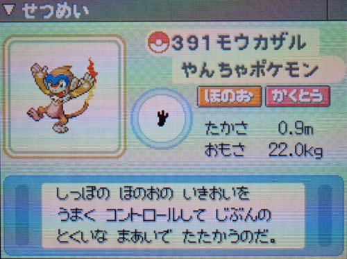 モウカザル プラチナ ポケモンずかん