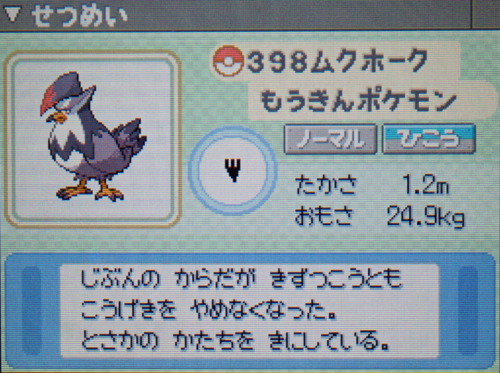 ムクホーク プラチナ ポケモンずかん