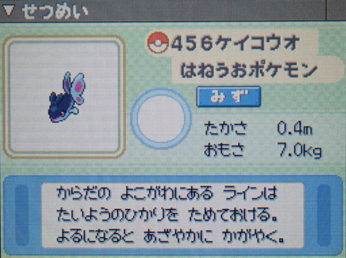 ケイコウオ プラチナ ポケモンずかん